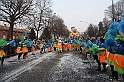 Sfilata carri Carnevale di Torino_250